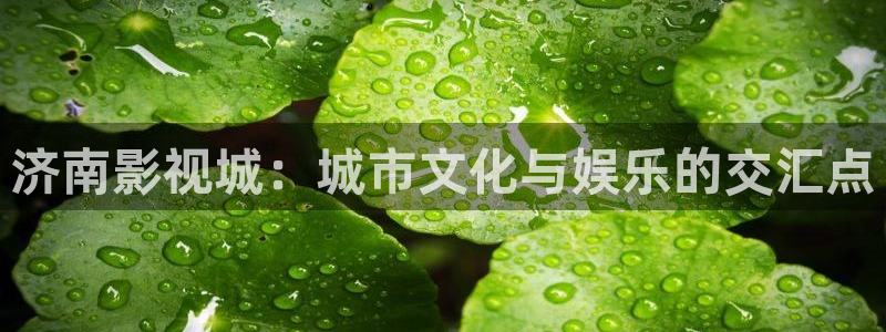 红叶电影：济南影视城：城市文化与娱乐的交汇点