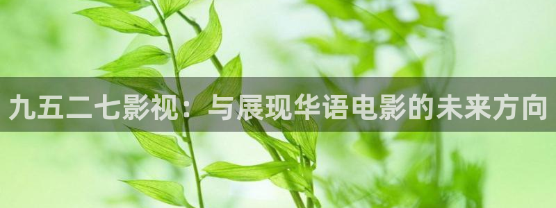 红叶电影院今日影讯：九五二七影视：与展现华语电影的未来方向