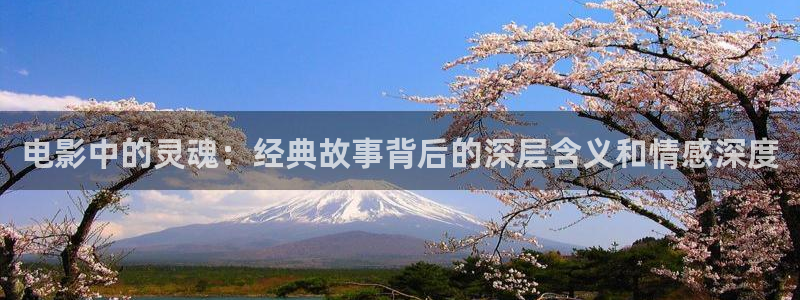 红叶影院app：电影中的灵魂：经典故事背后的深层含义和情感深度