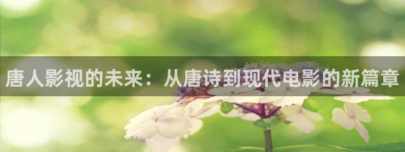 红叶影院：唐人影视的未来：从唐诗到现代电影的新篇章