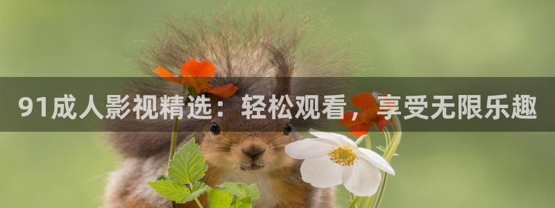 六安红叶影城电影：91成人影视精选：轻松观看，享受无限乐趣
