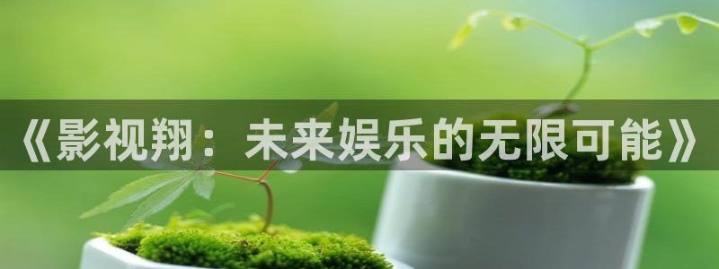 红叶电影今日影讯：《影视翔：未来娱乐的无限可能》