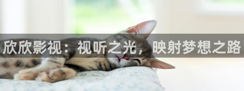 红叶影视官网：欣欣影视：视听之光，映射梦想之路
