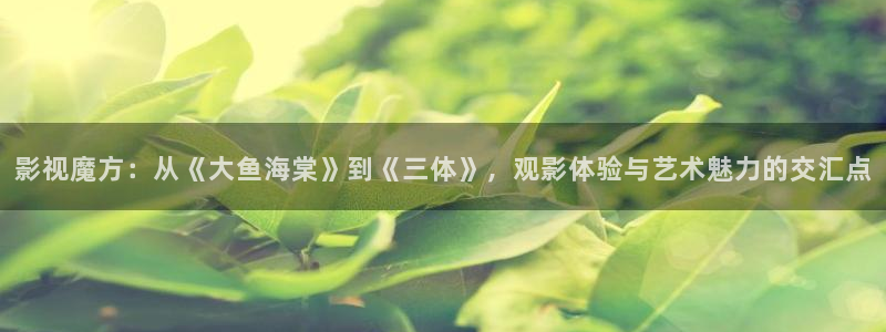 红叶影院免费观看电视剧：影视魔方：从《大鱼海棠》到《三体》，观影体验与艺术魅力的交汇点