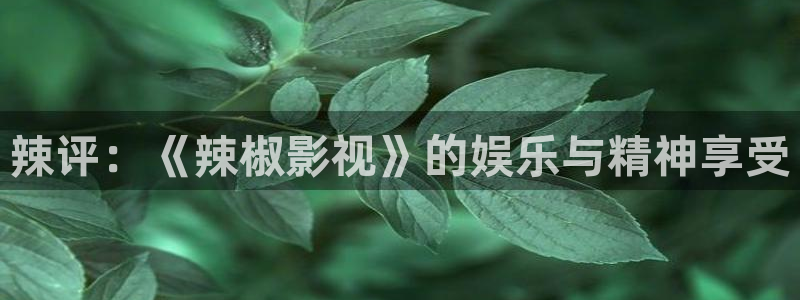 西安红叶影城：辣评：《辣椒影视》的娱乐与精神享受