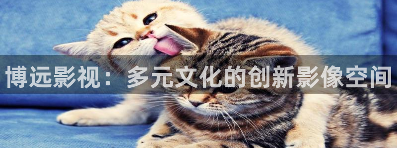 六安红叶电影院今日影讯：博远影视：多元文化的创新影像空间