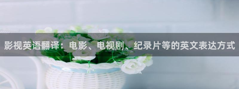 红叶影院app：影视英语翻译：电影、电视剧、纪录片等的英文表达方式