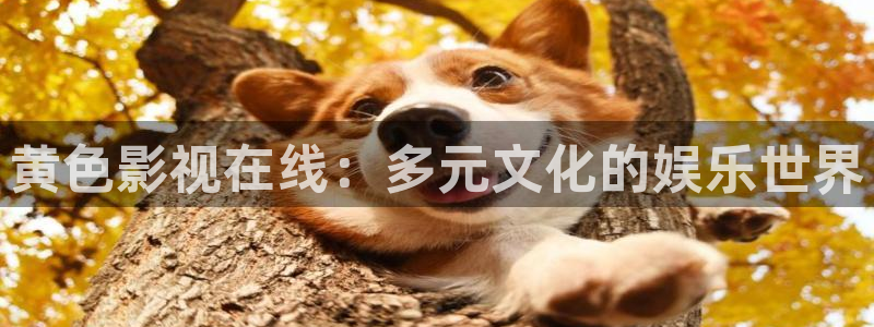 电影红叶：黄色影视在线：多元文化的娱乐世界