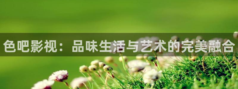红叶影视官网：色吧影视：品味生活与艺术的完美融合